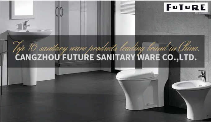 Le lavabo sur pied idéal extérieur solide classique de norme semi descend 550cm 0