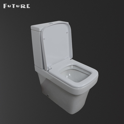 La place porteuse forte a formé le petit piège couplé étroit de la toilette P de toilettes