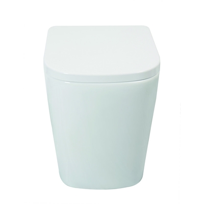 Carte de travail d'une seule pièce en céramique vitrée lisse de toilette avec le rinçage efficace étroit doux de Seat