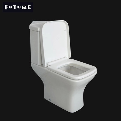 La fin standard idéale d'économie de l'espace a couplé le cabinet d'aisance de lavage à grande eau de toilette ISO9001