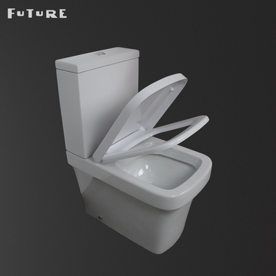Cabinet d'aisance couplé étroit carré de piège de la toilette P de 610*357*400MM écologique