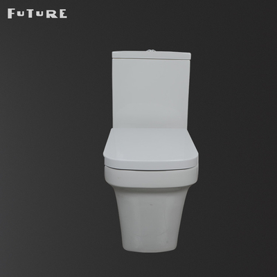 Cabinet d'aisance couplé étroit carré de piège de la toilette P de 610*357*400MM écologique