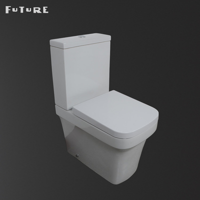 La place porteuse forte a formé le petit piège couplé étroit de la toilette P de toilettes