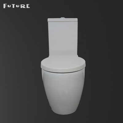 Toilette couplée étroite en deux pièces de bidet de cabinet d'aisance de villa automatique de désodorisation