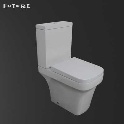 Le lavage à grande eau rinçant la toilette couplée étroite de salle de bains a prolongé la cuvette pour l'appartement