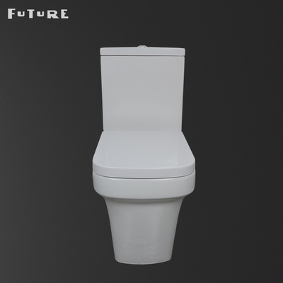 Le lavage à grande eau rinçant la toilette couplée étroite de salle de bains a prolongé la cuvette pour l'appartement