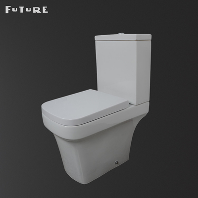 Le lavage à grande eau rinçant la toilette couplée étroite de salle de bains a prolongé la cuvette pour l'appartement