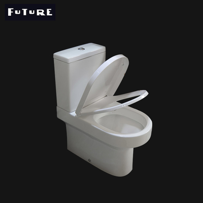 Courte toilette SD601 de taille d'appartement de toilette de réservoir cachée FUTURE par projection