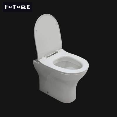 Vestiaire 450mm de nouveau au rinçage efficace standard idéal de toilette de mur