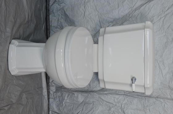 La toilette sans monture entièrement enveloppée fixée au mur S emprisonnent la toilette couplée étroite