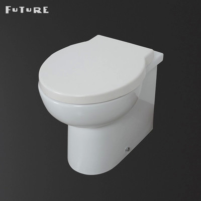 Salle de bains d'économie de l'espace de nouveau à la toilette de mur avec le double bouton affleurant 3L/6L