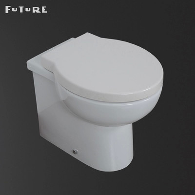 Salle de bains d'économie de l'espace de nouveau à la toilette de mur avec le double bouton affleurant 3L/6L