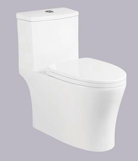 La cuvette des toilettes d'une seule pièce de Siphonic de désodorisation automatique sans réservoir lissent vitré