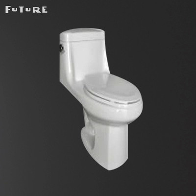 Toilette d'une seule pièce de Siphonic d'opération automatique de la CE avec le piège de S autour de la double toilette
