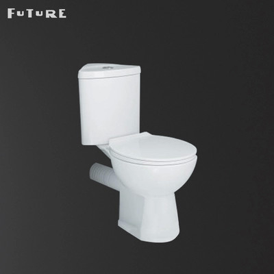 Opération automatique ovale couplée étroite contemporaine de toilette de bouton affleurant de la CE