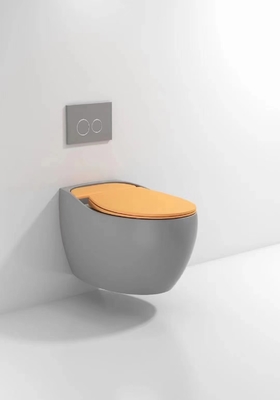 Désodorisation compacte vitrée sans heurt de Hung Toilet Gravity Flushing Auto de mur