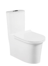 Éraflure philippine en céramique d'une seule pièce ovale de Watercloset de cabinet d'aisance de Siphonic résistante