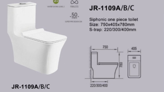 Siphonic vitré lisse cabinet d'aisance de 1 morceau conjuguent preuve affleurante d'abrasion