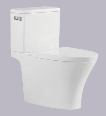 Lavabo philippin 695*395*750mm de Watercloset de toilette en deux pièces de piège de S